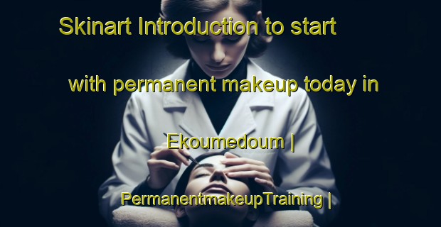 Skinart Introduction to start with permanent makeup today in Ekoumedoum | PermanentmakeupTraining | PermanentmakeupClasses | SkinartTraining-Cameroon